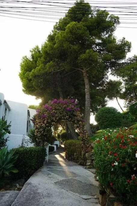 Playa Y Naturaleza Estepona Exterior foto